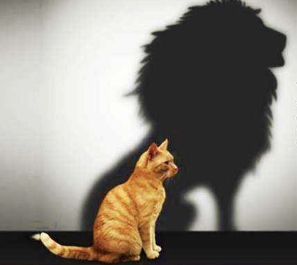 Aşağılık Kompleksi: Kendini Eksik Hissetme Hali